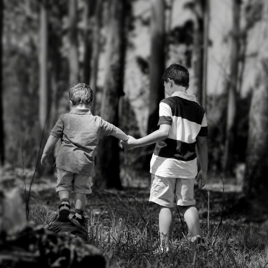 Two young boys walking hand in hand along a fallen log through a sunlit forest, in black and white.